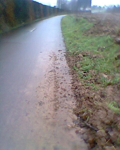 Photo0272.jpg