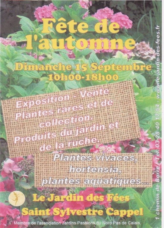 fe-te-de-l-automne.jpeg