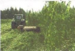 dans-les-champs-001.jpg