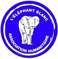 elephant-blanc.jpg