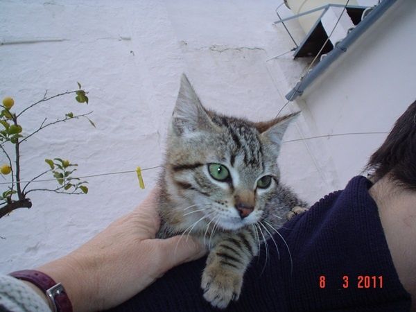 Rayita--018.JPG
