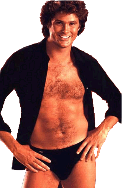 lolhasselhoffbis