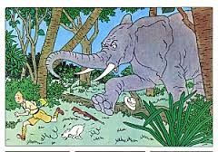 chasse a l'elephant