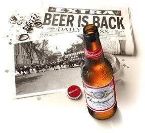 fdv36 maurice2 beerisback