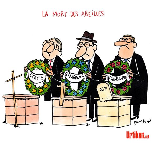 140217-mort-des-abeilles-cambon.jpg