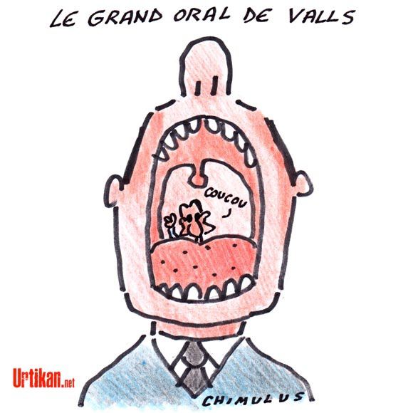 140408-le-grand-oral-de-valls-vote-de-confiance-chimulus.jpg
