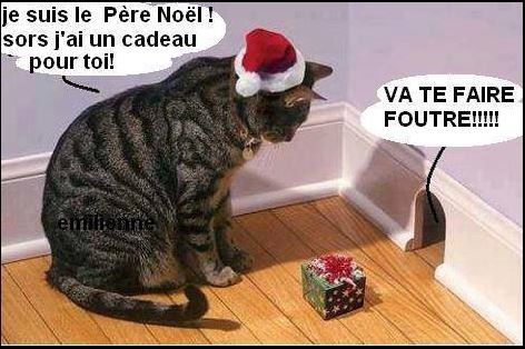 cadeau.JPG