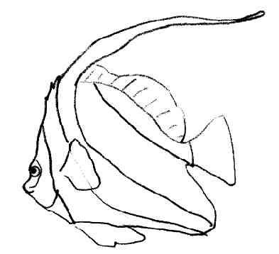 poisson23.jpg