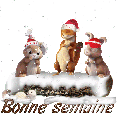 Gif animé - Noël 2013 - Animaux - Bonne Semaine - Le Monde des Gifs