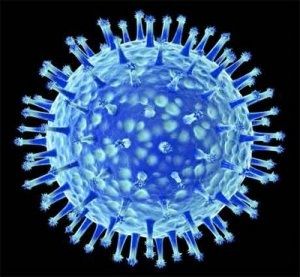 virus-01-d14b1.jpg