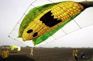 Etats-Unis-des-agriculteurs-poursuivent-Monsanto-en-justice.jpg