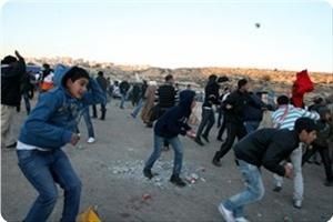 info-palestine.jpg