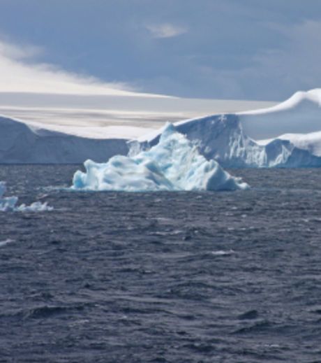 illustration-l-ocean-antarctique_45578_w460.jpg