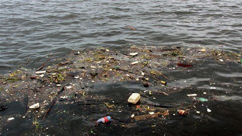 110920_6y8zx_eau_pollution_pla.jpg