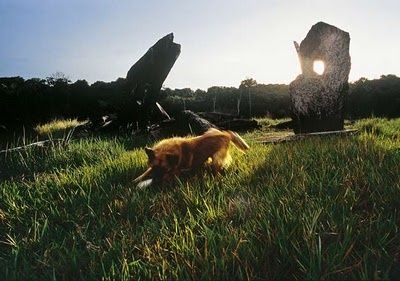 edicao-116-stonehenge-brasileiro-pedra-furo.jpg