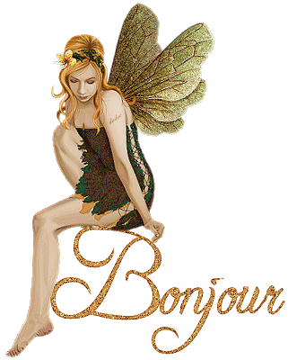 Bonjour gif