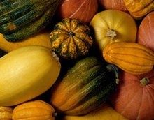 courges_H123213_L.jpg