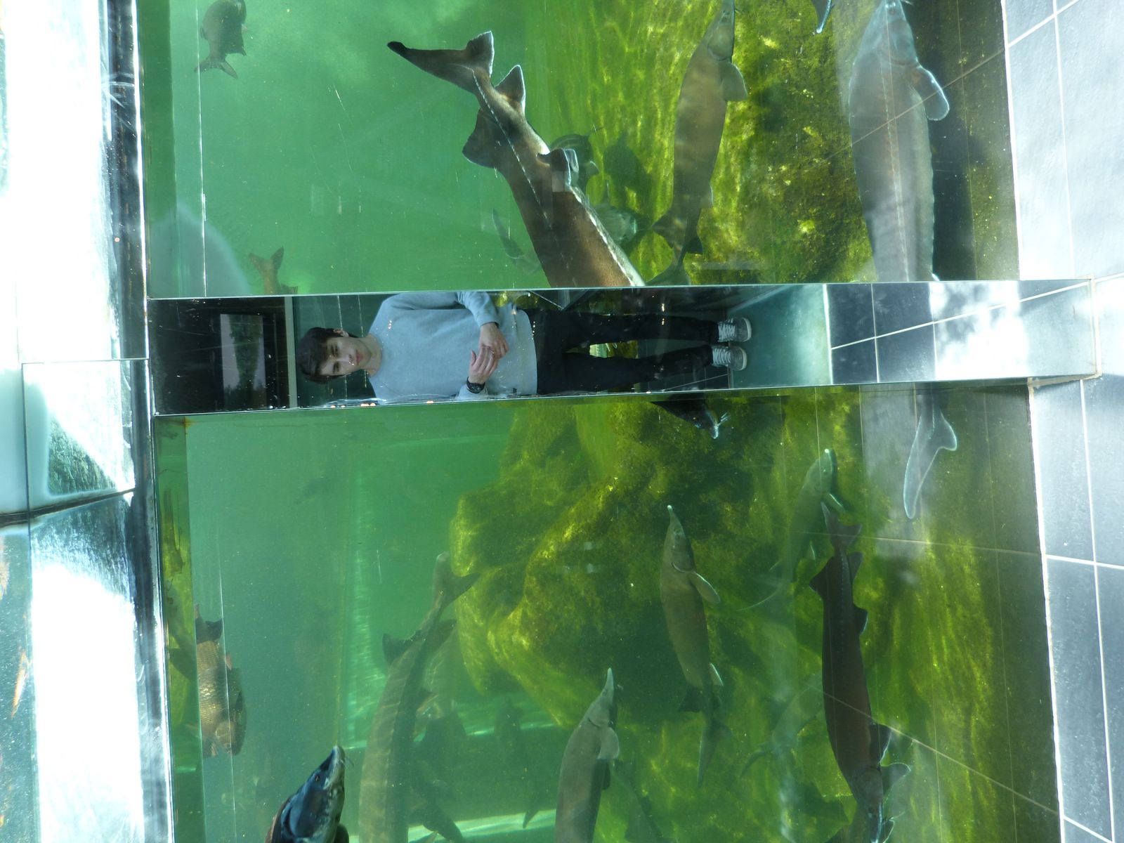 Nos visites à l'Aquarium du Périgord Noir où nous avons vu toutes sortes de poissons et croisé des animaux... bizarres !!!