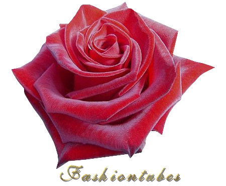 rose saint-valentin1