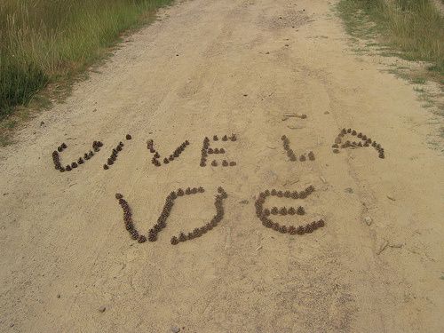 Vive_la_vie.jpg