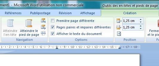 Word_pied-de-page_options_1.jpg