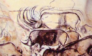 détail peinture et fresque de la Grotte-chauvet-dans-les-gorges-de-l-ardeche-detail-rhinoc.jpg
