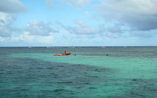 fonds-blancs-martinique--3-.jpg