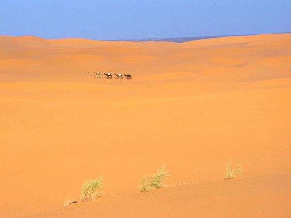Merzouga---Une-caravanne-dans-le-desert-marocain-filtres.jpg