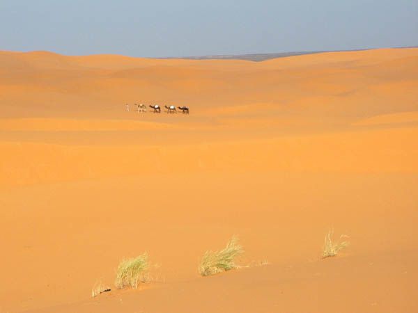 Merzouga---Une-caravanne-dans-le-desert-marocain-initial.jpg