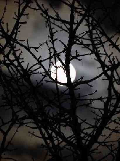 Lune-1.jpg