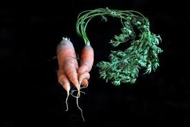 carottes5.jpg