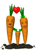 carrot