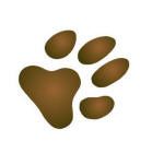 trace patte chien