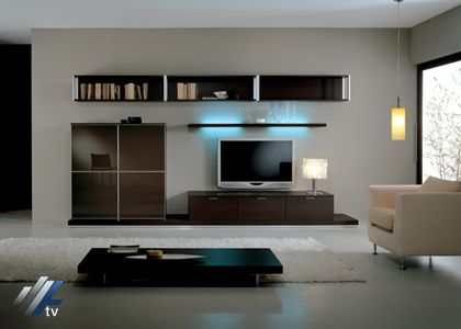television salon