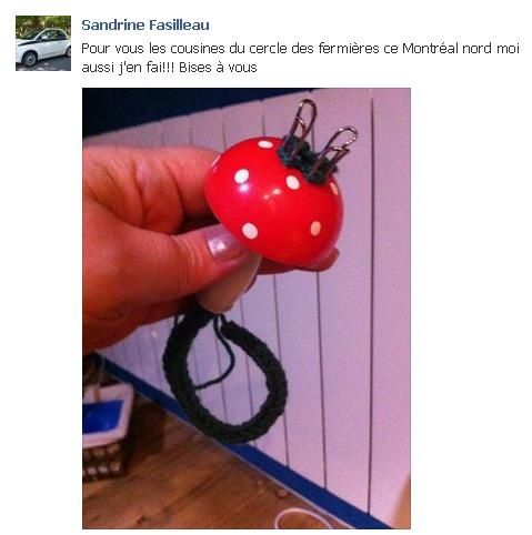 le-tricotin-de-Sandrine.JPG