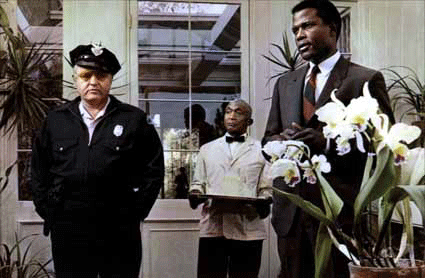 Dans-la-chaleur-de-la-nuit---Rod-Steiger-et-Sidney-Poitier.gif