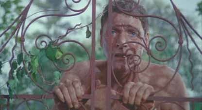 The-Swimmer---Burt-Lancaster-5.jpg