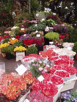 Bloemenmarkt #3 mercato dei fiori galleggiante