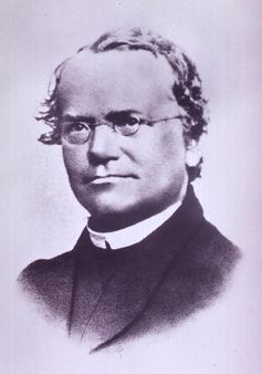 Austrian biologist Gregor Mendel, 'father of genetics' | Source http:/