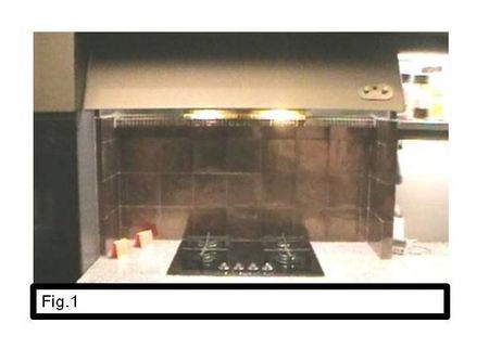 Fig.1