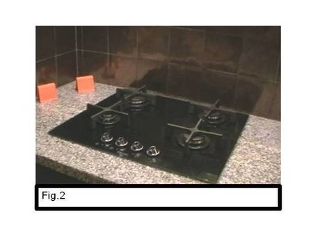 Fig.2