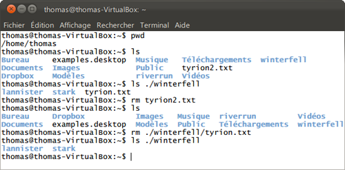 Des commandes élémentaires sous Linux - La vie multilingue du verbe ...