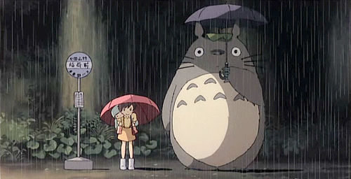 Totoro-sous-la-pluie.gif