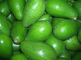 avocat-3c.jpg