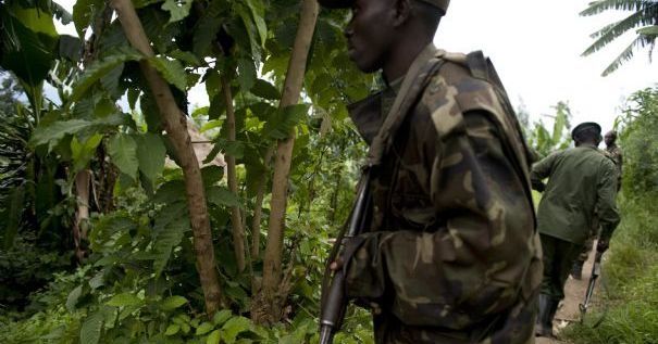 rebelles-kivu.jpg