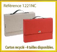 Vign mallette carton recycle ref 1221NC