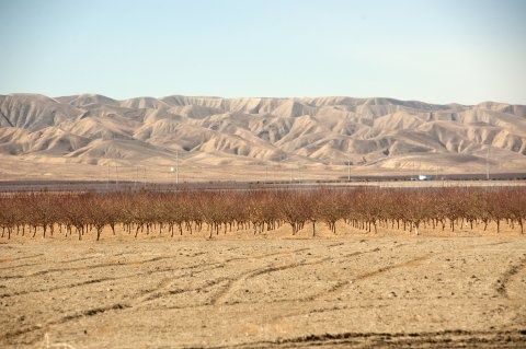 central-valley-drought-california-field