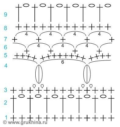 plastron 4...