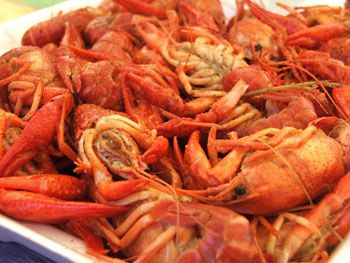 cajun-cafe-on-the-bayous-12th-annual-crawfish-festival[1]