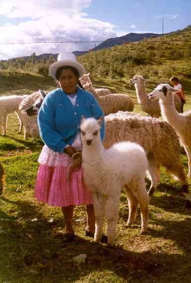 cuzco[1]
